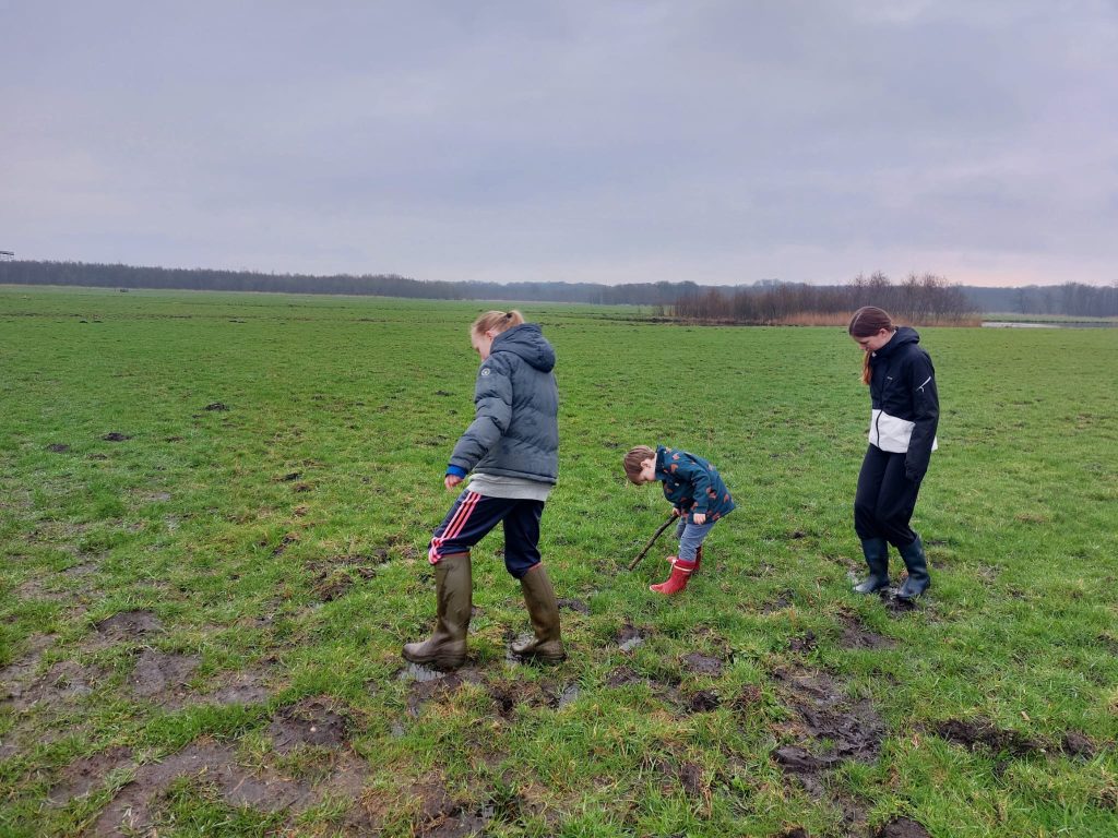 spelende kinderen in een weiland